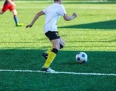 福彩,期专家推荐,核心杀二尾,bet365,bet365体育,bet365官网,bet365网址