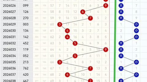 [彩市新锐]双色球26015期深度解析：复式投注8选2策略大揭秘！